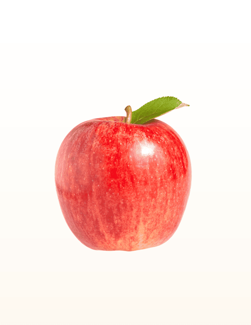 Pomme Gala